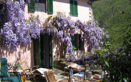 Stone House Paradiso