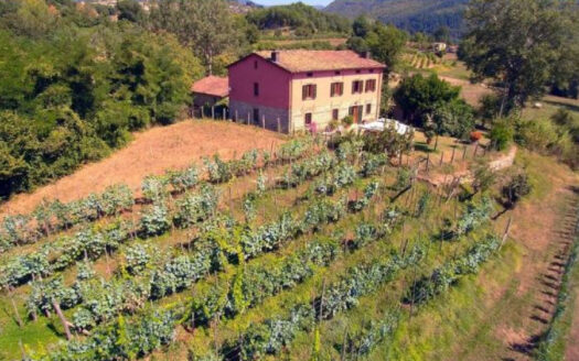 Countryhouse Castiglione