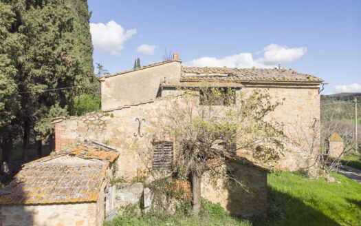 The farms in Montalcino