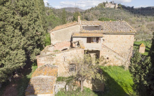 The farms in Montalcino